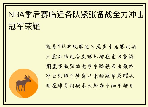 NBA季后赛临近各队紧张备战全力冲击冠军荣耀