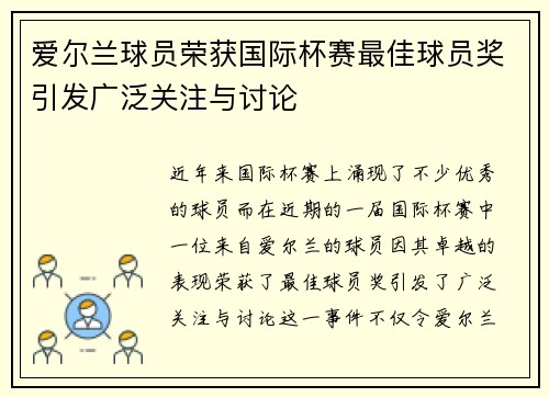 爱尔兰球员荣获国际杯赛最佳球员奖引发广泛关注与讨论