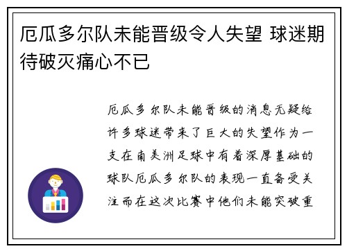 厄瓜多尔队未能晋级令人失望 球迷期待破灭痛心不已